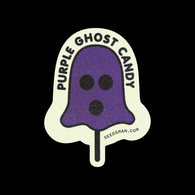 Purple Ghost Candy Feminised Seeds