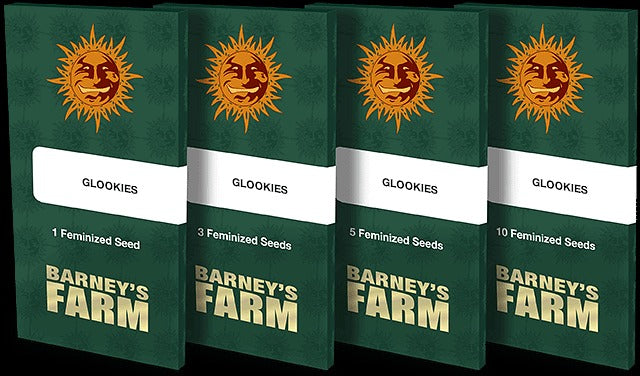 Glookies Feminised Seeds