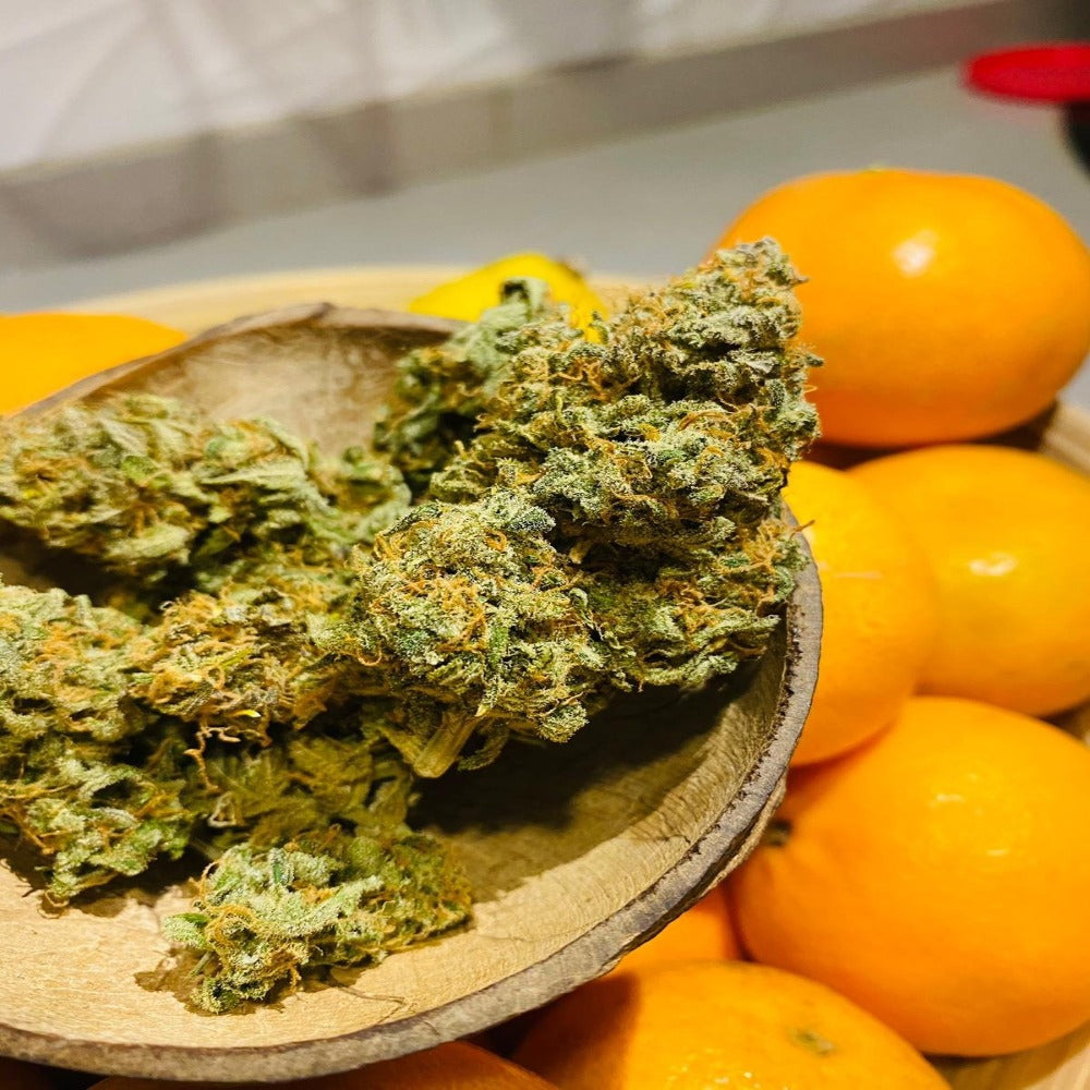 Smoothie Auto