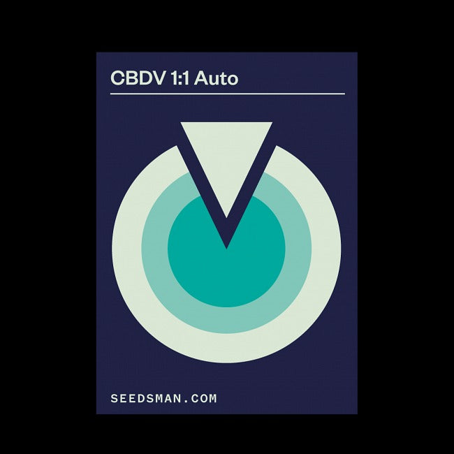 CBDV 1:1 Auto Feminised Seeds