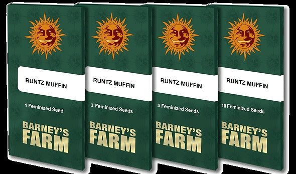 Runtz Muffin Feminised Seeds